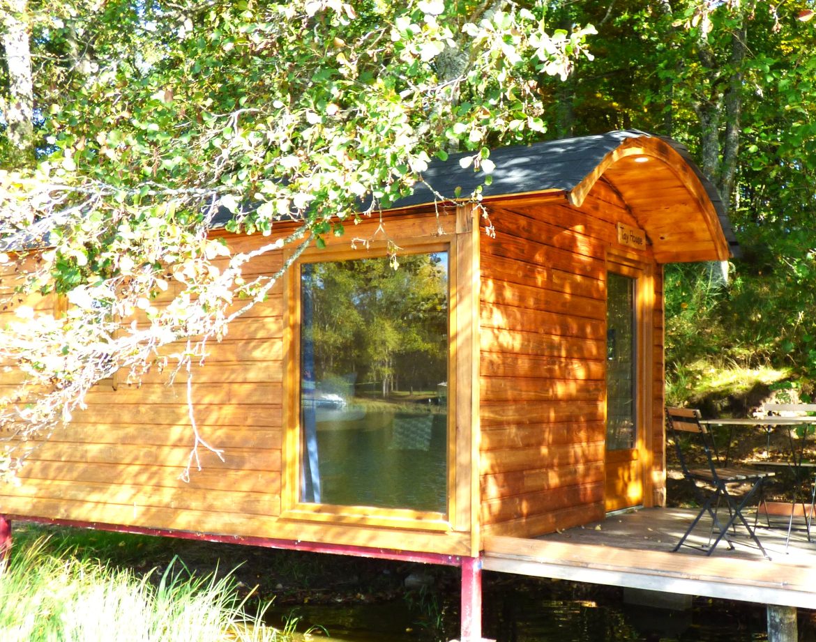 Cabane sur pilotis en bois, entourée de verdure, au bord dun étang paisible.