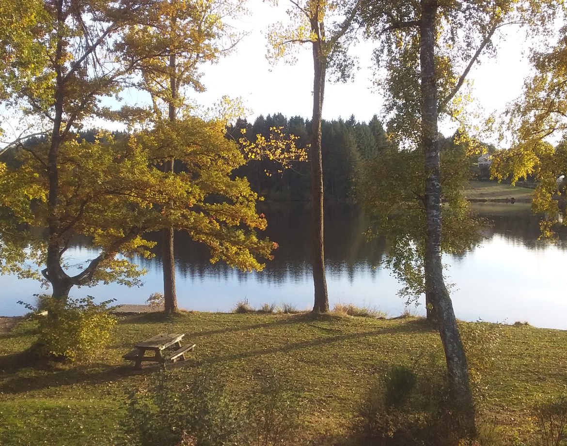Hébergement insolite en Auvergne, avec vue sur un lac entouré darbres dorés.