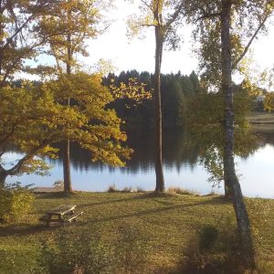 Hébergement insolite en Auvergne, avec vue sur un lac entouré darbres dorés.
