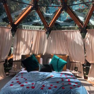 Dôme en bois avec lit romantique, paré de pétales de roses et lumière douce.