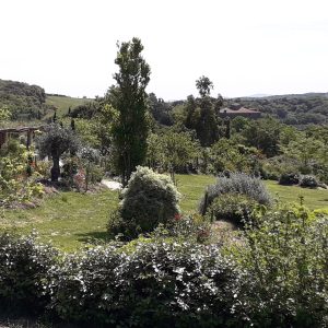 Hébergement insolite en pleine nature, avec un jardin verdoyant et des collines en arrière-plan.