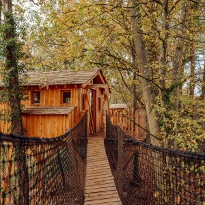 Cabane en bois perchée dans les arbres, accessible par un pont suspendu.