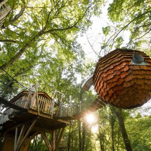 Cabane perchée dans les arbres, entourée de verdure, avec un toit en bois.