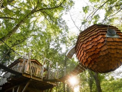 Cabane perchée dans les arbres, entourée de verdure, avec un toit en bois.