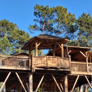 Cabane perchée en bois, entourée de pins, offrant une vue panoramique sur la nature.