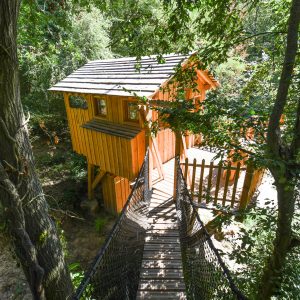 Cabane dans les arbres en Hauts-de-France, perchée au milieu des feuillages verdoyants.