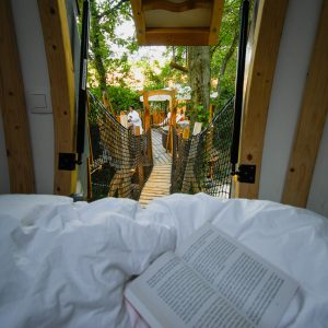 Cabane dans les arbres à Hauts-de-France, vue sur un pont suspendu verdoyant.