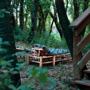 Hébergement insolite en bois avec un lit confortable au milieu de la forêt verdoyante.