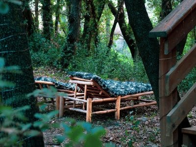 Hébergement insolite en bois avec un lit confortable au milieu de la forêt verdoyante.