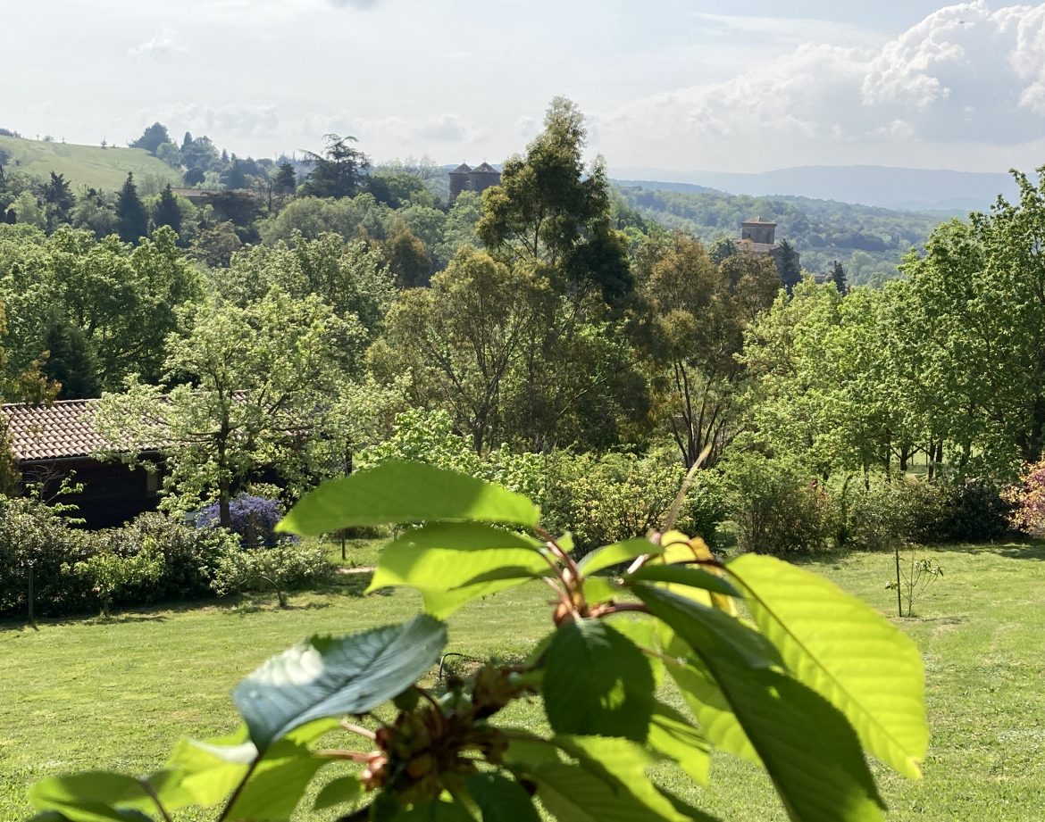 Hébergement insolite en pleine nature, avec des arbres verdoyants et des collines en arrière-plan.