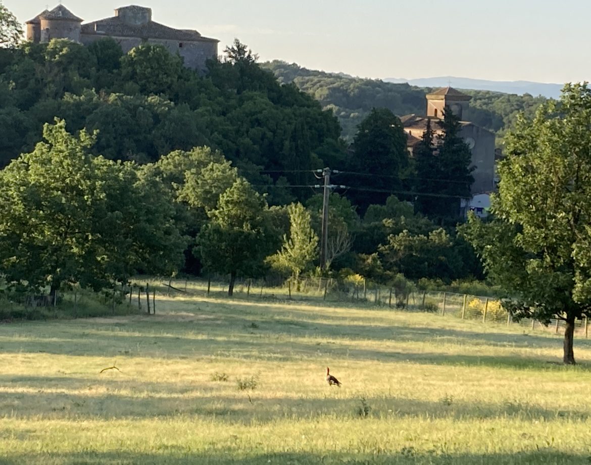 Hébergement insolite en Languedoc-Roussillon, avec vue sur un château et la nature verdoyante.
