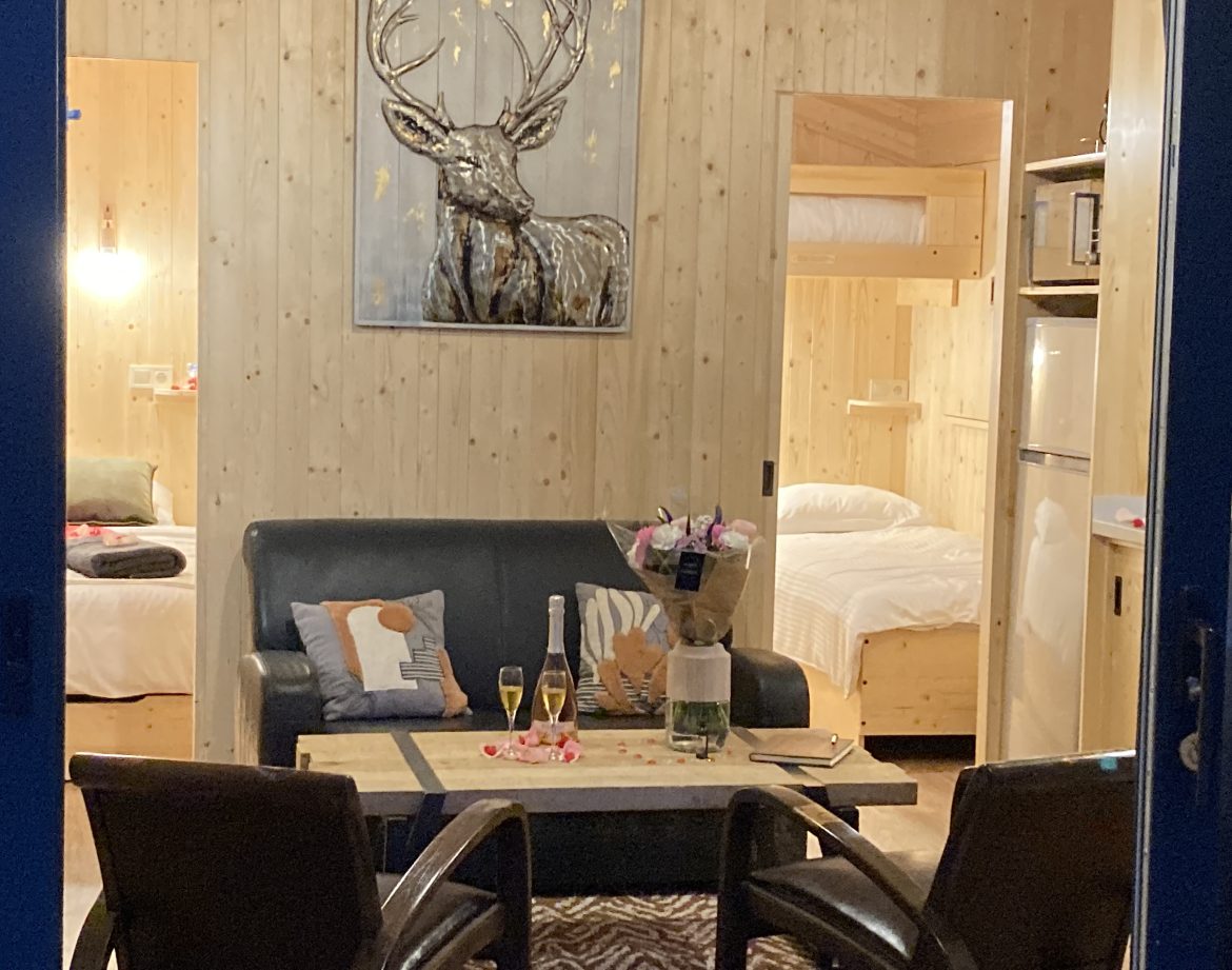 Hébergement insolite en bois avec salon cosy et décoration élégante.