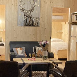 Hébergement insolite en bois avec salon cosy et décoration élégante.