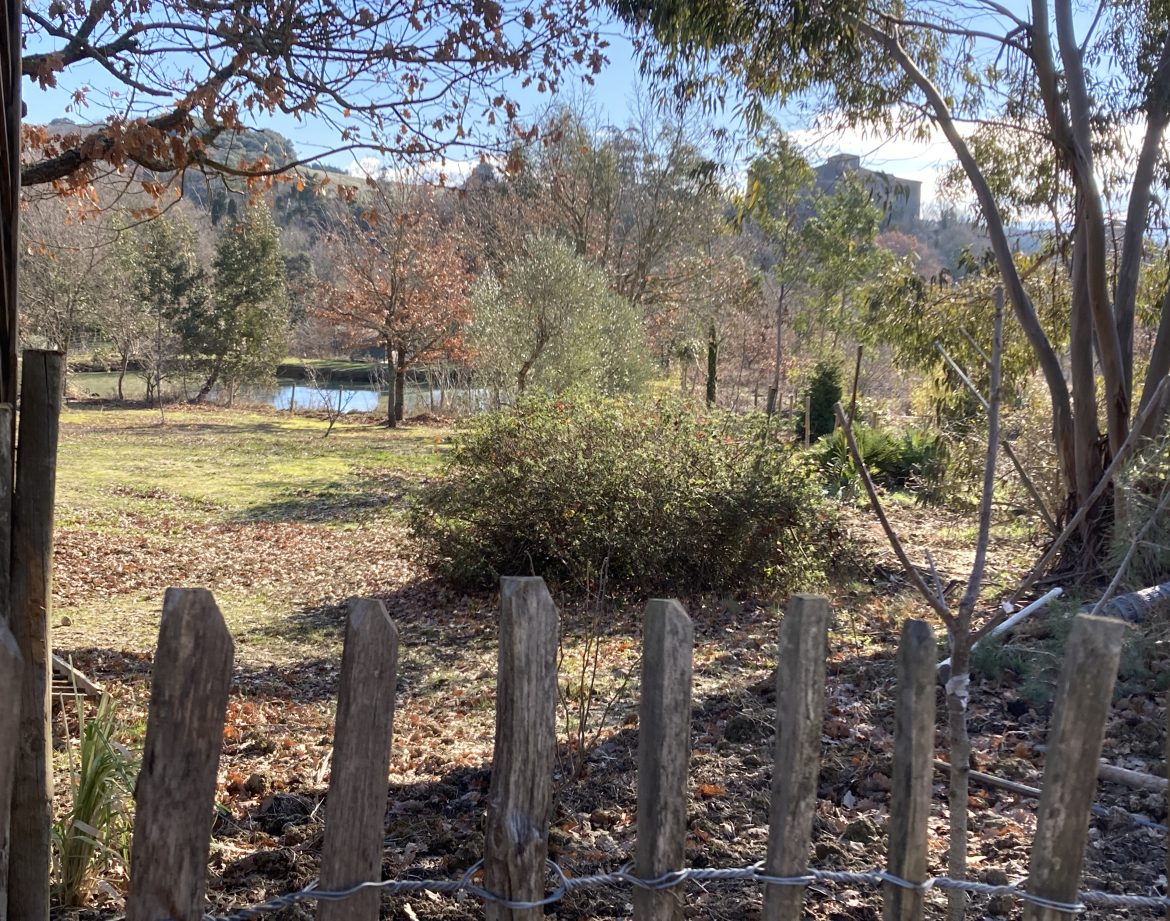 Hébergement insolite en Languedoc-Roussillon, vue sur un jardin verdoyant et paisible.