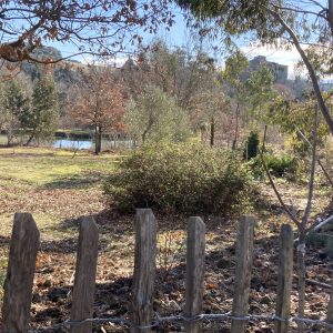 Hébergement insolite en Languedoc-Roussillon, vue sur un jardin verdoyant et paisible.