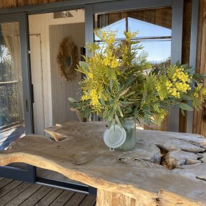 Hébergement insolite en bois avec une table en bois naturel et un vase de mimosa.