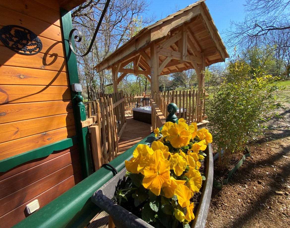 Cabane en bois en Aquitaine, avec un joli auvent et des fleurs jaunes en pot.