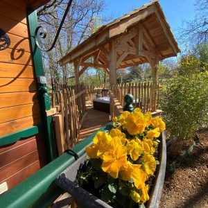 Cabane en bois en Aquitaine, avec un joli auvent et des fleurs jaunes en pot.