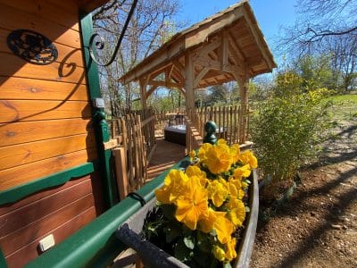 Cabane en bois en Aquitaine, avec un joli auvent et des fleurs jaunes en pot.