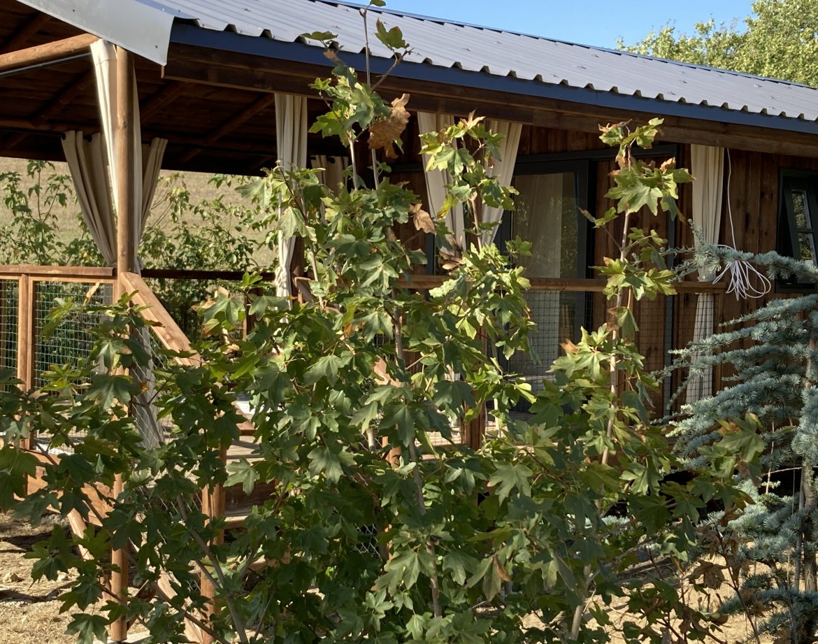 Languedoc-Roussillon - Hébergement insolite