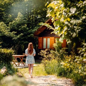 Cabane en bois dans la nature, entourée de verdure, offrant un cadre paisible.