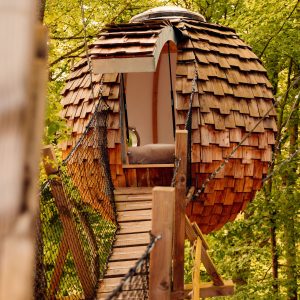 Cabane en bois en forme de sphère, perchée dans les arbres, accessible par un pont suspendu.