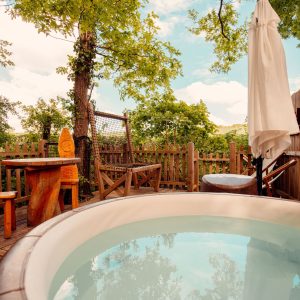 Hébergement insolite en cabane avec jacuzzi, entouré darbres verdoyants.
