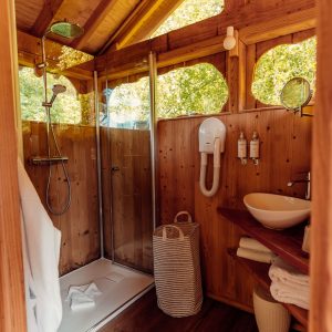 Cabane en bois avec salle de bain moderne, lumière naturelle abondante.