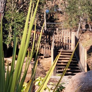 Cabane perchée en bois, entourée de verdure, avec un accès par des escaliers.