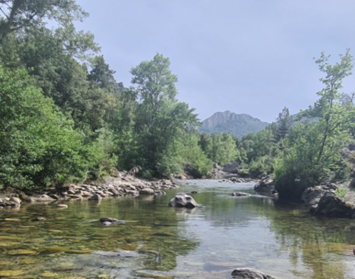 Hébergement insolite en Corse, au bord dune rivière cristalline entourée de verdure.