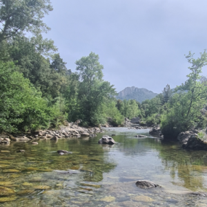 Hébergement insolite en Corse, au bord dune rivière cristalline entourée de verdure.