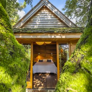 Cabane en bois en Corse, nichée entre les arbres, avec une vue lumineuse.