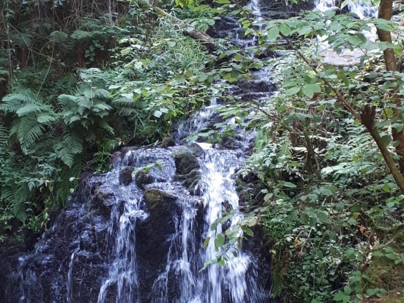 Hébergement en pleine nature, près dune cascade entourée de verdure luxuriante.