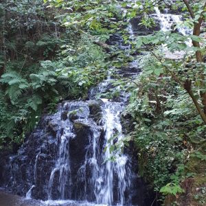 Hébergement insolite en forêt, avec un ruisseau et des cascades apaisantes.