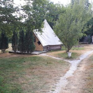 Tentes safari au cœur de la nature, entourées darbres et dun chemin en gravier.