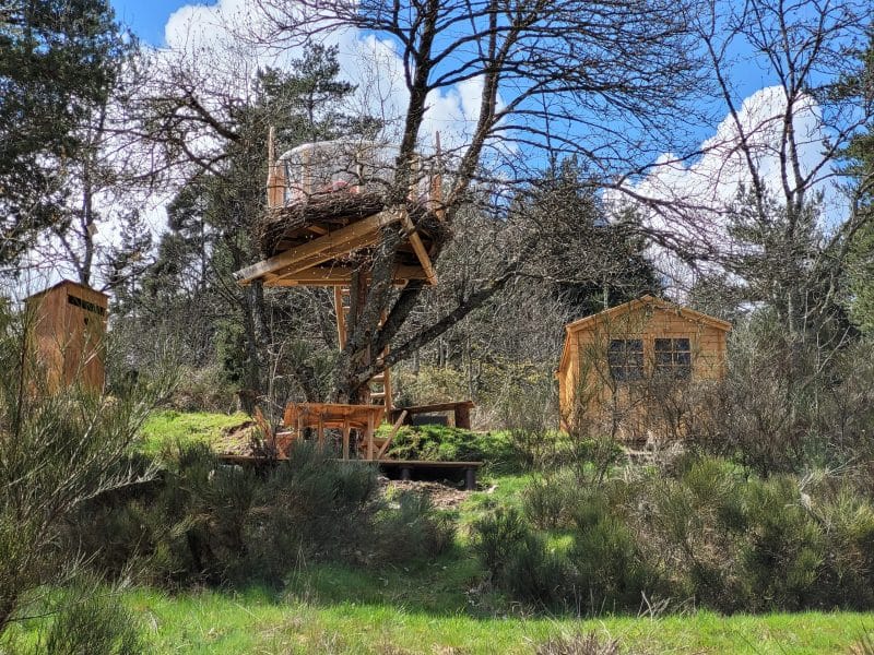 Cabane dans les arbres entourée de verdure, avec une terrasse en bois.