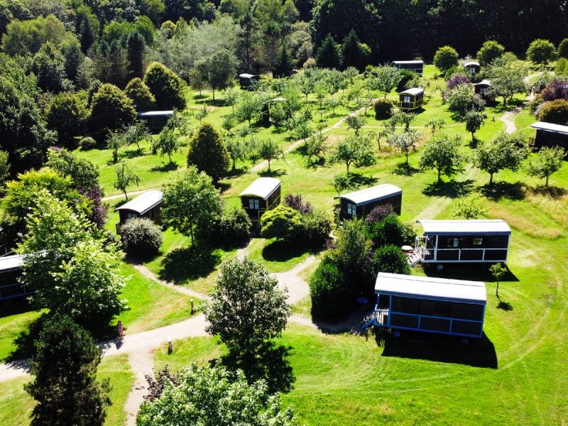 Cabanes en bois nichées dans un jardin verdoyant, entourées darbres.
