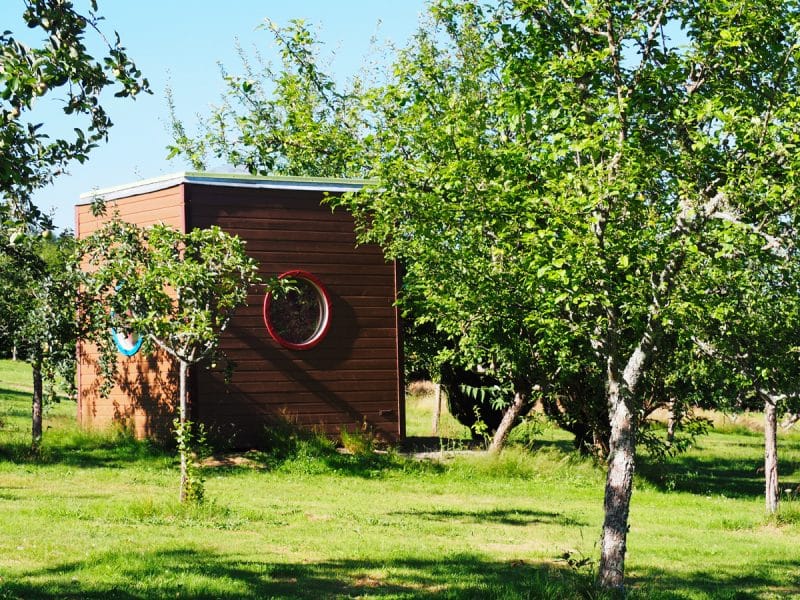 Cabane en bois moderne avec fenêtres rondes, entourée darbres verdoyants.