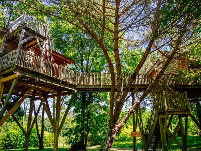 Cabane dans les arbres avec passerelles, entourée de verdure luxuriante.