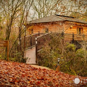 Cabane en bois perchée, entourée de feuillage automnal à Midi-Pyrénées.