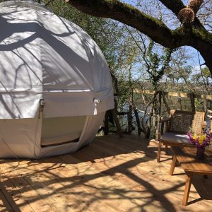 Hébergement insolite en forme de bulle, perché dans un arbre avec vue sur leau.