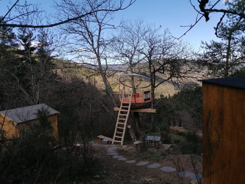 Cabane dans les arbres avec une échelle, entourée de nature verdoyante.