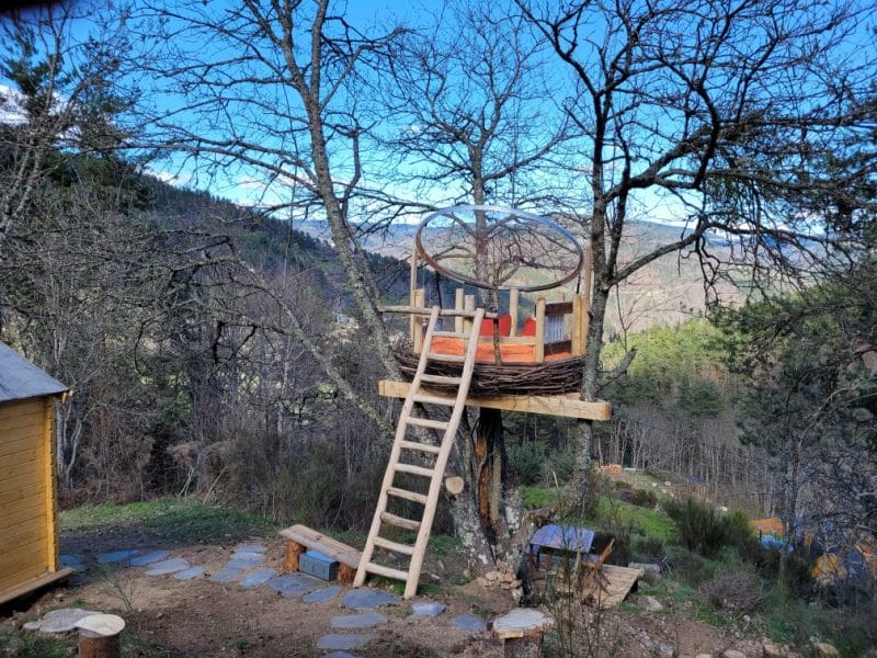 Cabane dans les arbres avec terrasse circulaire, entourée de nature verdoyante.