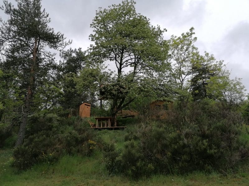 Cabane en bois entourée de verdure, avec une table en bois sous un arbre.