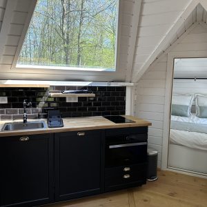 Cabane moderne en bois avec cuisine équipée et grandes fenêtres sur la nature.
