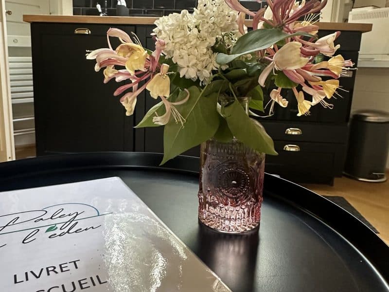 Chalet moderne avec cuisine équipée et bouquet de fleurs sur table.
