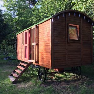 Roulotte en bois au cœur de la nature en Basse-Normandie, entourée darbres verdoyants.