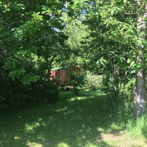 Cabane perchée en bois, entourée de verdure luxuriante en Basse-Normandie.
