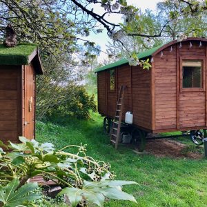 Charmante roulotte en bois à Basse-Normandie, entourée de verdure et darbres.