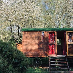 Roulotte en bois nichée sous des arbres fleuris en Basse-Normandie.